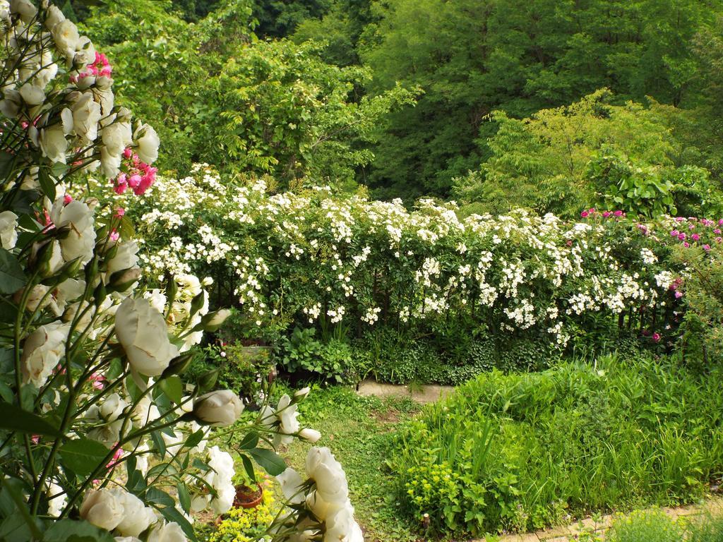Pension Apple Kaminoyama Luaran gambar